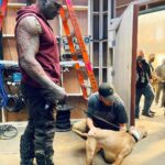 Dave Bautista Instagram - Sheltered dogs don’t mean they’re damaged, it means humans have let them down. Rescued is my favorite breed. #ShelteredPetsDay #Penny