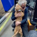 Dave Bautista Instagram - Sheltered dogs don’t mean they’re damaged, it means humans have let them down. Rescued is my favorite breed. #ShelteredPetsDay #Penny