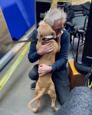 Dave Bautista Instagram - Sheltered dogs don’t mean they’re damaged, it means humans have let them down. Rescued is my favorite breed. #ShelteredPetsDay #Penny