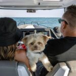 Dave Coulier Instagram - The simplest things in life bring the most joy. Exploring with our dogs, a bike ride, a swim, and a sunset. #captaincooler #greatoutdoors #boatlife #dogsofinstagram Lake Huron, Mi