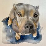 Dave Portnoy Instagram - I love when people advocate for rescue. I really love when they advocate for rescuing pitbulls. And I really, really love when they advocate for rescuing pitbulls from states like GA, where we have some of the worst animal welfare laws. So happy for sweet Miss Peaches and @stoolpresidente @barstoolsports @fultonanimalservices @lifelineanimal @bffspod