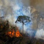 Davi Kneip Instagram - Esses dias fiz um show na @pumpmanaus e me deparei mais ainda com a situação que vem acontecendo na amazônia … Incêndios, secas , a cidade coberta por uma fumaça, pessoas passando tanta dificuldade devido a essa situação ! ESTOU ME COLOCANDO DISPOSTO PRA AJUDAR E CONTO COMA AJUDA DE TODOS VOCÊS !!! Vamos orar e ajudar @bdct @alok #sosamazonia #sosmanaus #sosamazonas Manaus - Amazônia