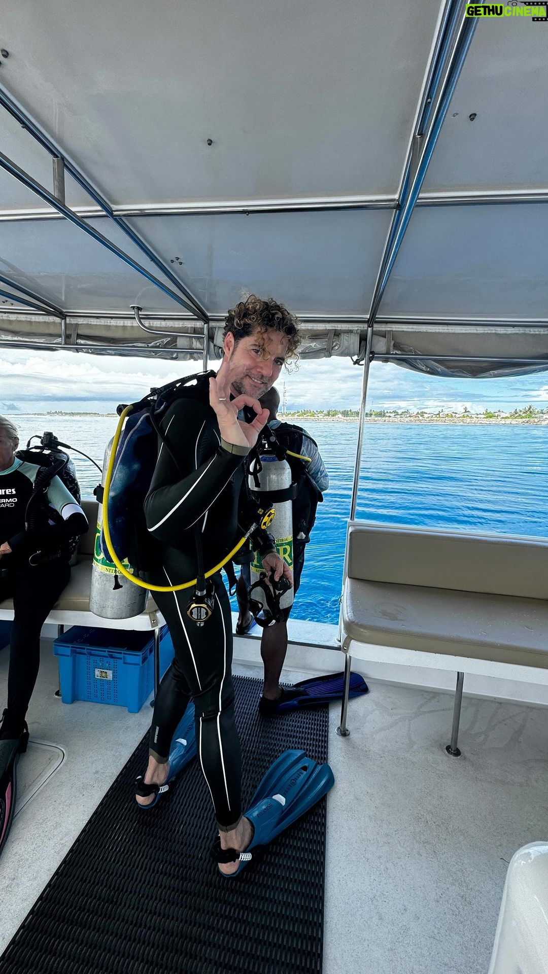 David Bisbal Instagram - Uno de mis grandes pasatiempos es el buceo. Pronto descubrí que quería recordar cada una de mis inmersiones de una manera muy especial. Así es como me encontré con el video y, a través de él, con la fotografía. Me gusta grabar y tomar fotos mientras buceo, no solo porque me gusta, sino también porque me resulta relajante. Muy pocas veces al año tengo la suerte de encontrarme con estas vistas, ¡así que cada vez que vuelvo me enamoro! Son recuerdos de vida que guardo con mucho cariño.