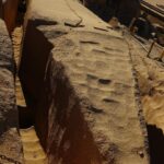 David Bisbal Instagram - Una de las cosas que más disfruté durante el día en que visitamos las canteras de Aswan, el Templo de Philae y el Templo de Kom Ombo, fue la forma en que estos templos han sido reutilizados a lo largo del tiempo. Se pueden ver inscripciones cristianas y grafitis de la expedición de Napoleón Bonaparte, lo que añade una capa adicional de historia y significado a estos antiguos sitios. También hubo tiempo para disfrutar a bordo! Me dieron una Derbuka y me puse a tocar sin conocimiento! Ja ja ja ja ja ja. Sobre el tema de los animales, ya sabéis que me encantan!!! Qué bonicos los perros, me los llevaría todos a casa!