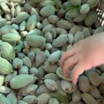 David Chang Instagram – Green almonds: Top 5 worst foods to prepare.