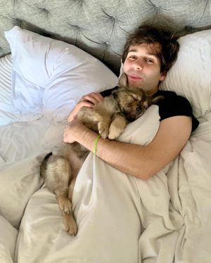 David Dobrik Instagram - Missing my nap buddy 🥺