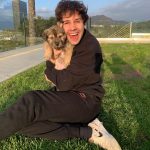 David Dobrik Instagram - Natalie decided to foster a puppy so i had the pleasure of naming her. Everyone say hello to Iron Man