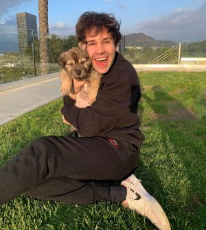 David Dobrik Instagram - Natalie decided to foster a puppy so i had the pleasure of naming her. Everyone say hello to Iron Man