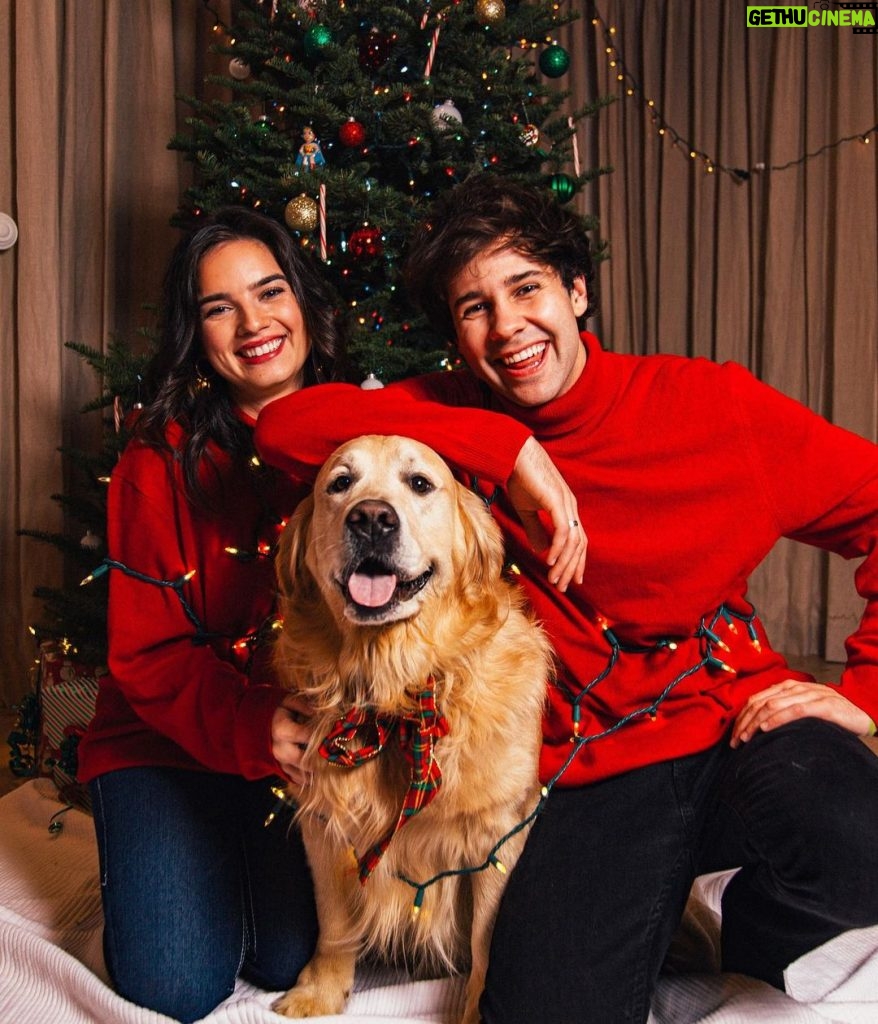 David Dobrik Instagram - Merry Christmas from me, Natalie, and Santa Paws