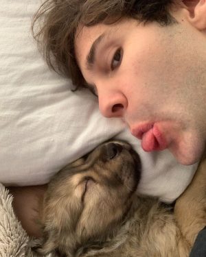 David Dobrik Instagram - Missing my nap buddy 🥺