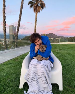 David Dobrik Instagram - Missing my nap buddy 🥺