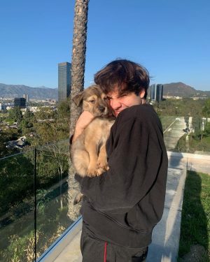 David Dobrik Instagram - Missing my nap buddy 🥺