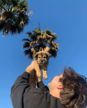 David Dobrik Instagram - Missing my nap buddy 🥺