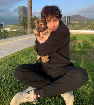 David Dobrik Instagram - Natalie decided to foster a puppy so i had the pleasure of naming her. Everyone say hello to Iron Man
