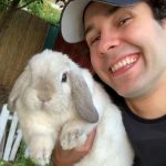 David Dobrik Instagram – Rest in peace Bailey Harambe Dobrik Ernst. We may have had our differences, but the joy you brought Alex could never be matched. Enjoy your mountain of carrots in bunny heaven 😇