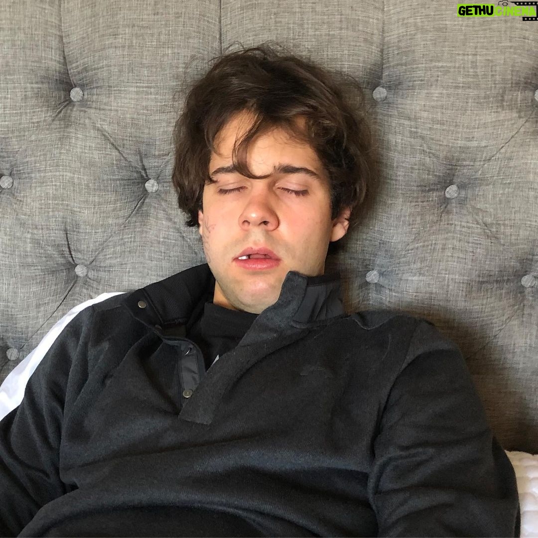 David Dobrik Instagram - Felt cute, might delete later