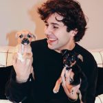 David Dobrik Instagram - One of us won’t stop peeing on the rug