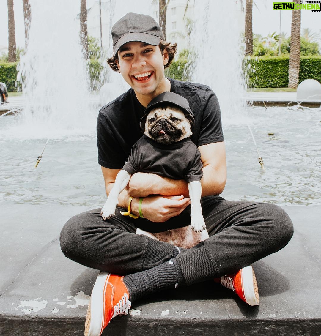 David Dobrik Instagram - Another successful take your child to work day
