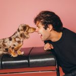 David Dobrik Instagram - My favorite tiktokers to collab with are dogs