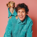 David Dobrik Instagram - My favorite tiktokers to collab with are dogs
