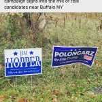 David Harbour Instagram – We upstate newyorkers are psychopaths…we used to just play mailbox baseball, or drop firecrackers in jackolanterns in late October, or egg (yes, used as a verb) speeding station wagons but nowadays we use our subversive elbow grease to comb neighborhoods for the unsuspecting well decided voter and drop fictional hero PR next to their yard stumping.  Bravo, you goddamn psychopaths bra-vo