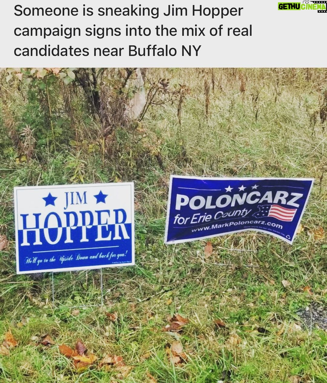 David Harbour Instagram - We upstate newyorkers are psychopaths...we used to just play mailbox baseball, or drop firecrackers in jackolanterns in late October, or egg (yes, used as a verb) speeding station wagons but nowadays we use our subversive elbow grease to comb neighborhoods for the unsuspecting well decided voter and drop fictional hero PR next to their yard stumping. Bravo, you goddamn psychopaths bra-vo