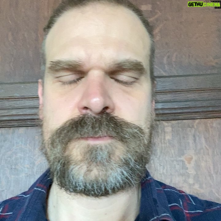 David Harbour Instagram - Yes yes yes!