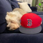 David Ortiz Instagram - Smart,beautiful and unique that’s the way l describe my baby girl fox, a lot of personality. R.I.P daddy will always love you❤️❤️❤️