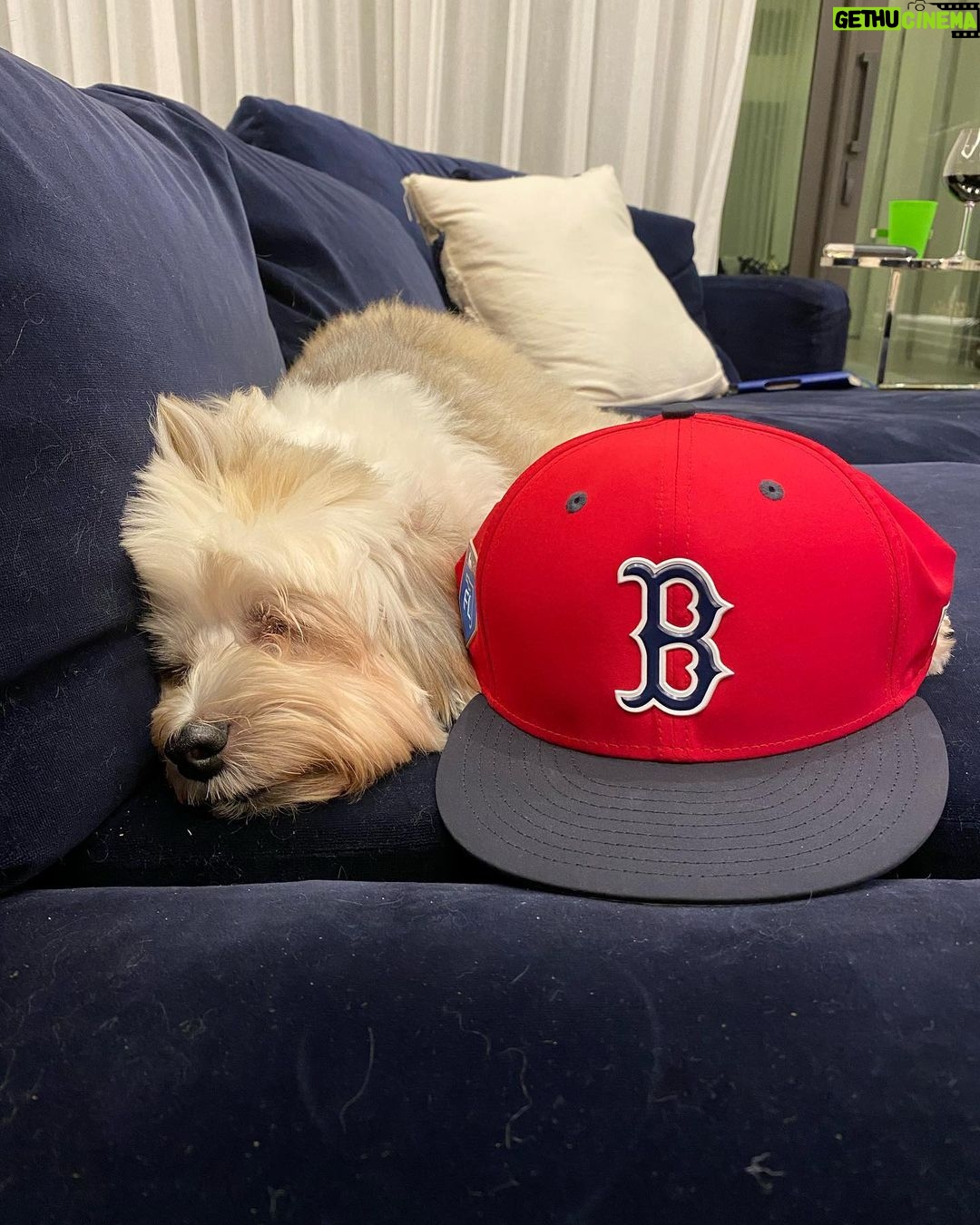 David Ortiz Instagram - Smart,beautiful and unique that’s the way l describe my baby girl fox, a lot of personality. R.I.P daddy will always love you❤️❤️❤️
