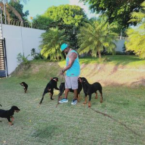 David Ortiz Instagram - My dogs are like my kids l'll do whatever it take for them to be healthy & happy haha ....happy & fox do not get mad at daddy😊😊
Mis perros son Como mis hijos hago lo que sea Para protegerlos....happy & fox no se quillen con daddy 🤣🤣