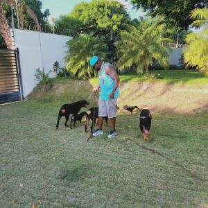 David Ortiz Instagram - My dogs are like my kids l'll do whatever it take for them to be healthy & happy haha ....happy & fox do not get mad at daddy😊😊
Mis perros son Como mis hijos hago lo que sea Para protegerlos....happy & fox no se quillen con daddy 🤣🤣