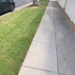 David Spade Instagram -