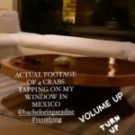 David Spade Instagram - Crabs scaring shit out of me during @bachelorinparadise Mexico trip. Try to sleep with them plotting your death! Morse code to each other! 🦀🦀🦀🦀 Crank volume and shit pants