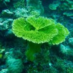 David Walliams Instagram - The sea.