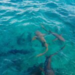 David Walliams Instagram - The sea.