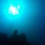 David Walliams Instagram - The sea.