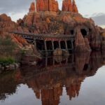 David Walliams Instagram - @disneylandparis