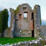 David Walliams Instagram – The stunning @cromcastle which you can rent out! The staff will look after you splendidly and you can be Lord or Lady of the Manor!