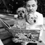 David Walliams Instagram - LITTLE MONSTERS RULE! is out now. @adam.stower