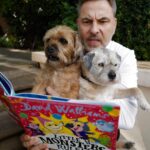 David Walliams Instagram - LITTLE MONSTERS RULE! is out now. @adam.stower