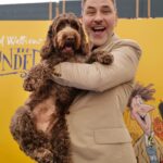 David Walliams Instagram – Today I was on stage @cheltfestivals talking about my brand new book THE BLUNDERS.