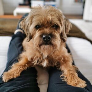 David Walliams Instagram - Helping Daddy write.