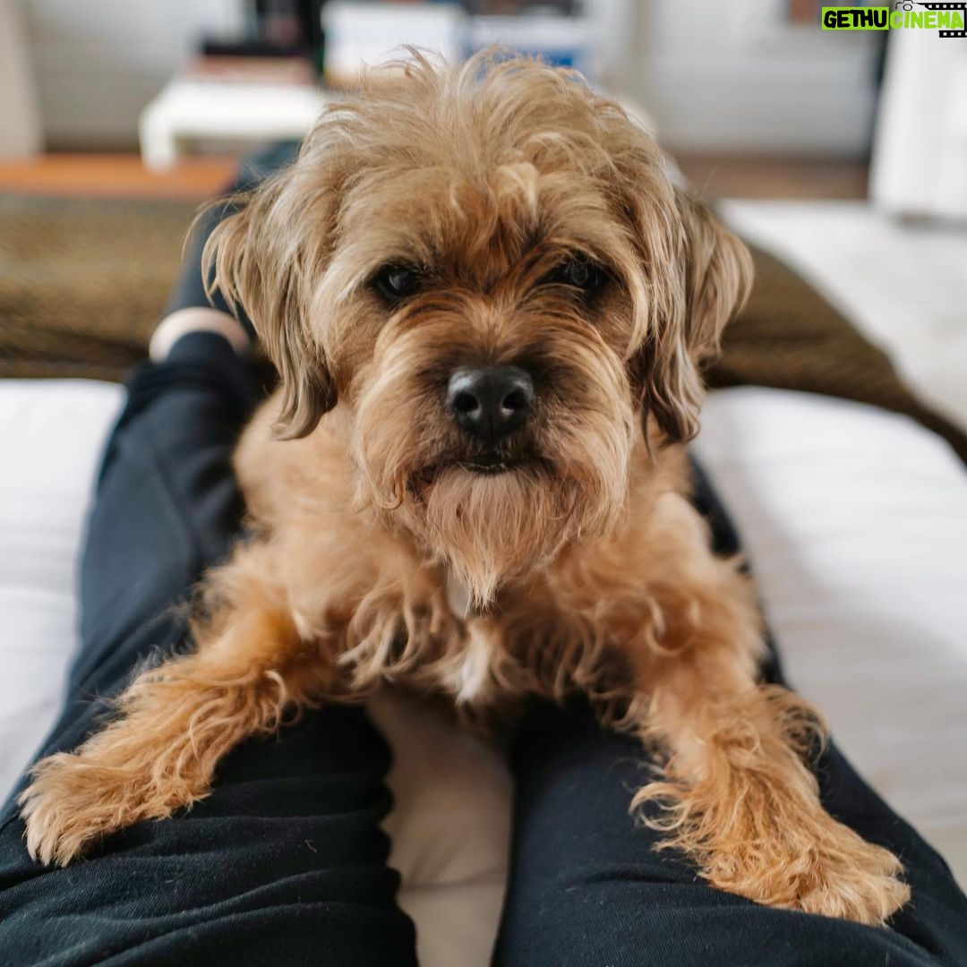 David Walliams - 6.3K Likes - Helping Daddy write.