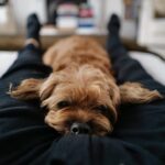 David Walliams Instagram - Helping Daddy write.