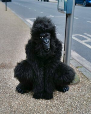 David Walliams Instagram - HAPPY WORLD BOOK DAY from Gertrude the gorilla & me. #worldbookday #codenamebananas
