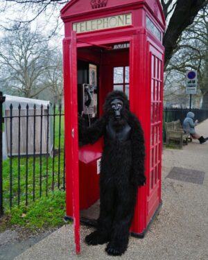 David Walliams Instagram - HAPPY WORLD BOOK DAY from Gertrude the gorilla & me. #worldbookday #codenamebananas