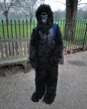 David Walliams Instagram - HAPPY WORLD BOOK DAY from Gertrude the gorilla & me. #worldbookday #codenamebananas