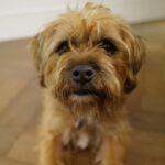 David Walliams Instagram – My little Ern.