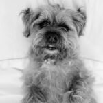 David Walliams Instagram – My little Ern.