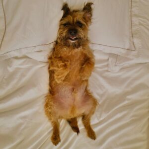 David Walliams Instagram - My little Ern.